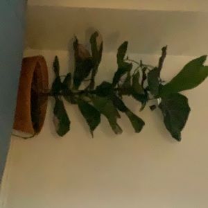 Meet your Posher, Aaron